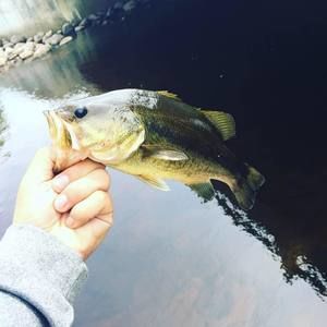 Meet your Posher, Ethan